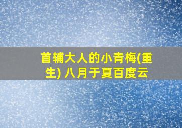 首辅大人的小青梅(重生) 八月于夏百度云